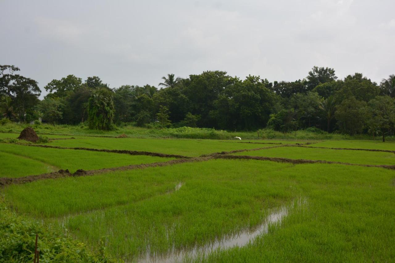 Monaara Leisure - Anuradhapura Exterior foto